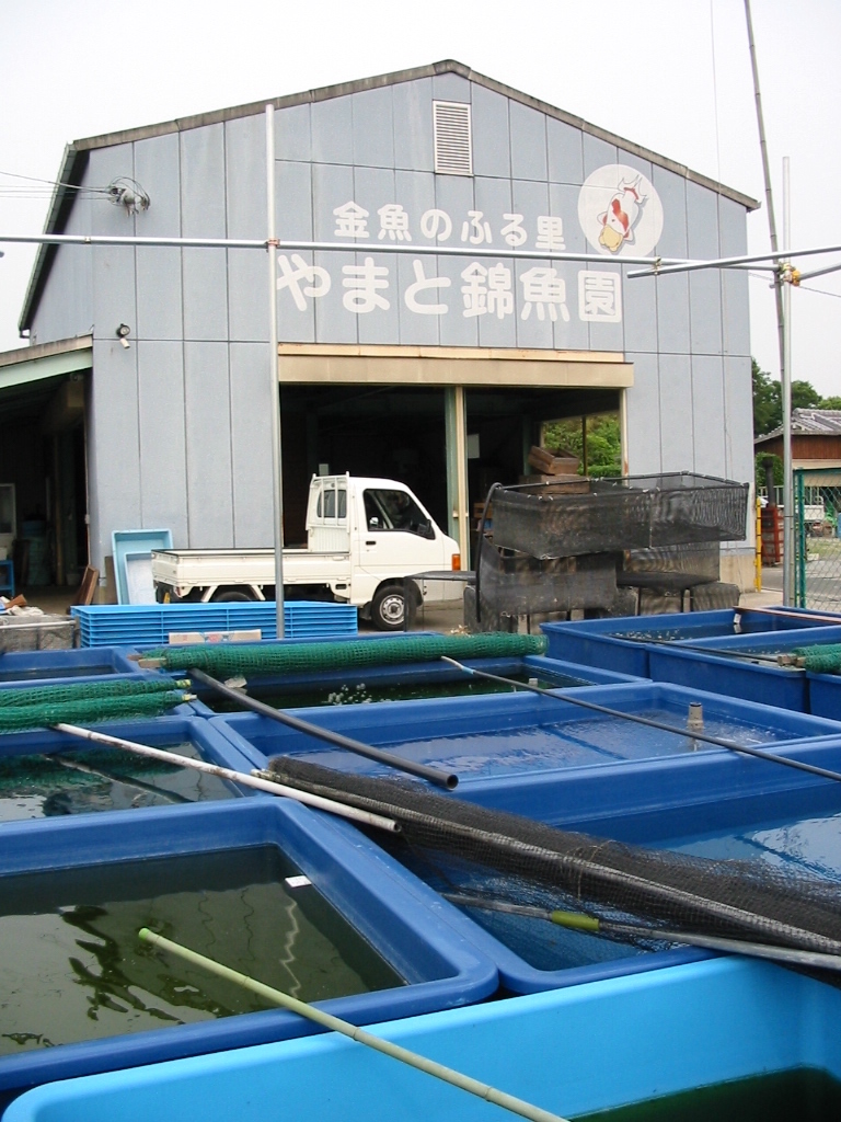 やまと錦魚園