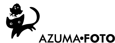 logo-azumafoto