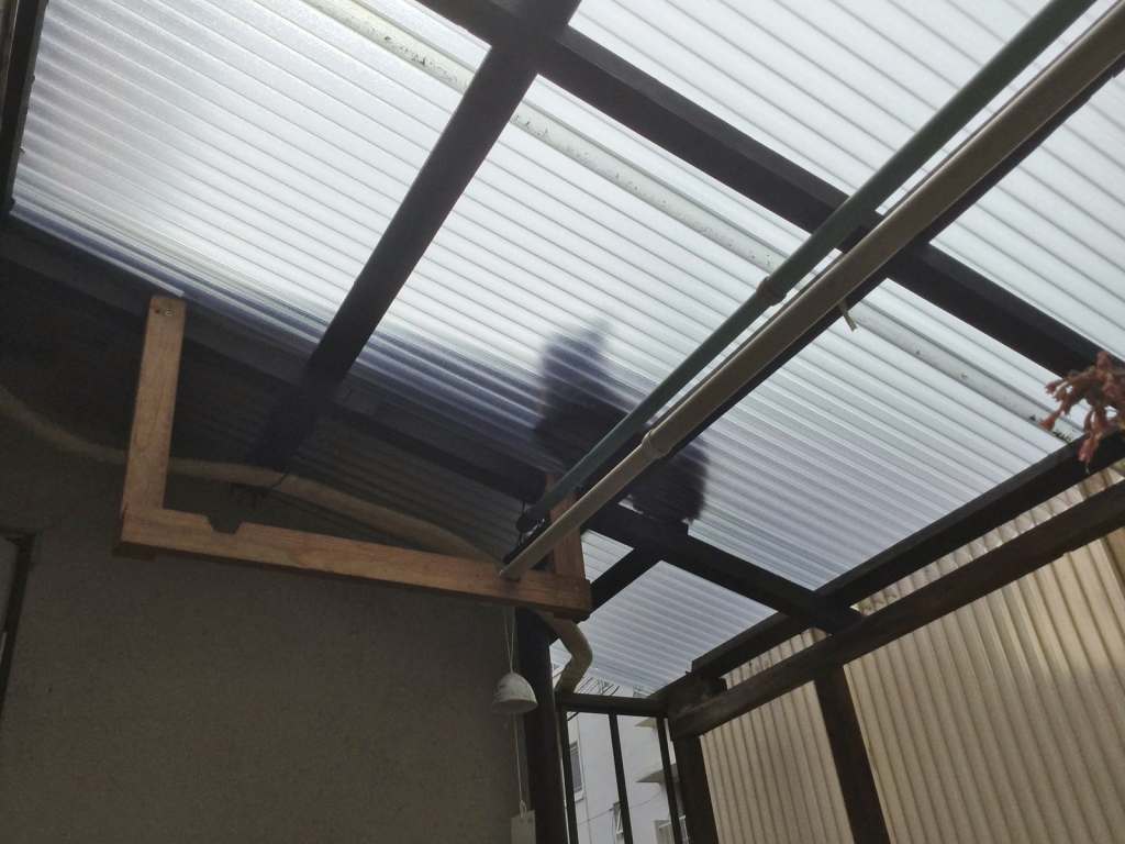 屋根の上のネコ